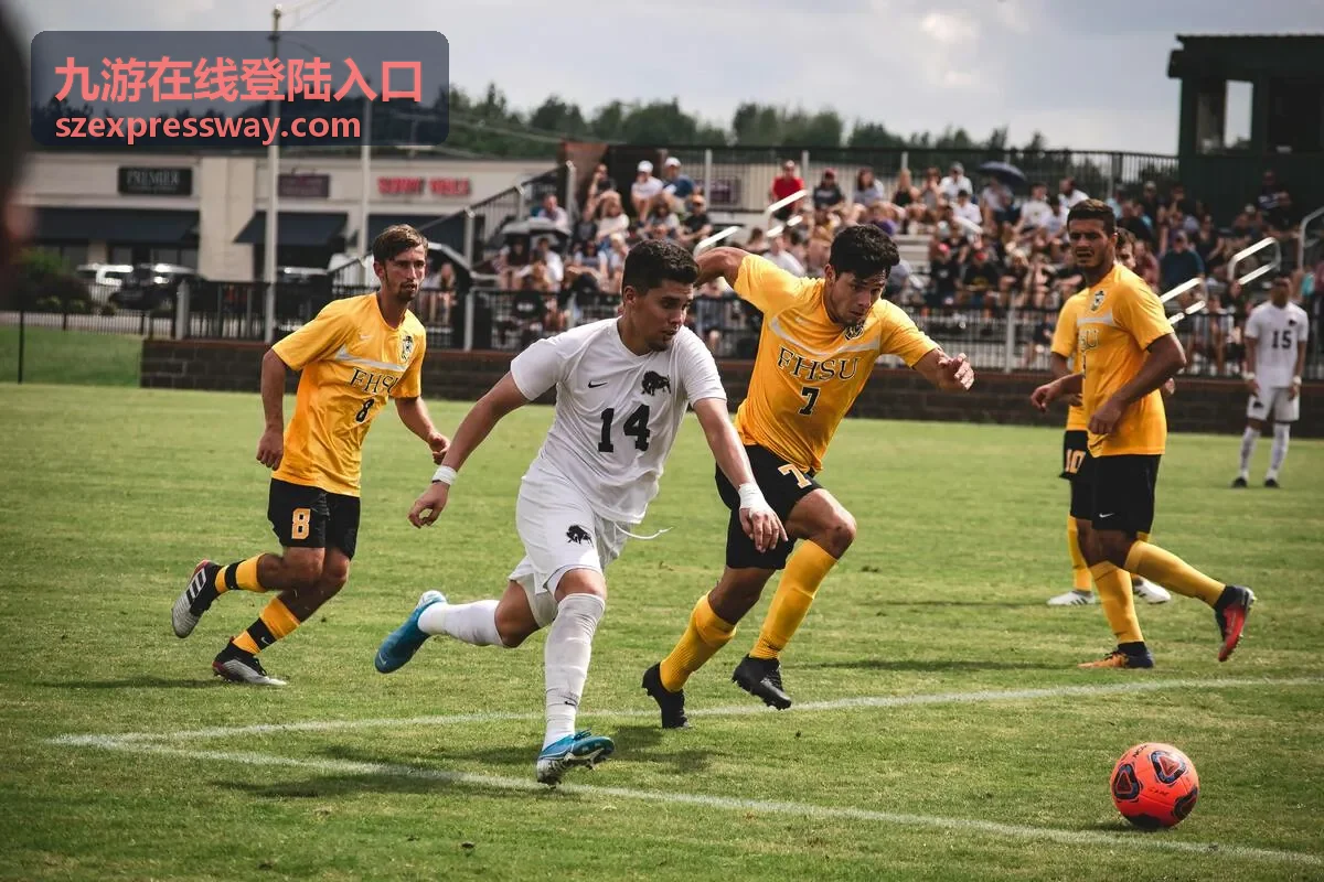 九游在线登陆入口账号安全提示示意
