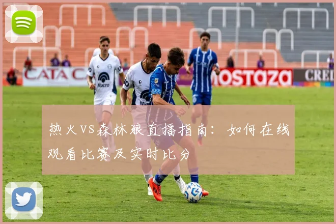 热火vs森林狼直播指南：如何在线观看比赛及实时比分