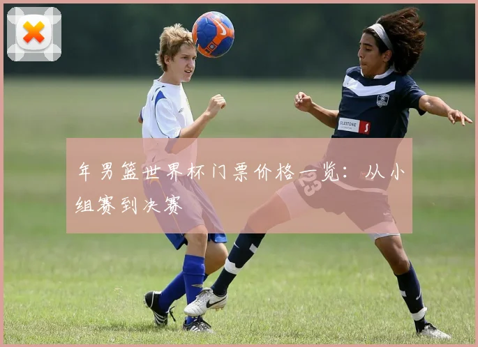 年男篮世界杯门票价格一览：从小组赛到决赛