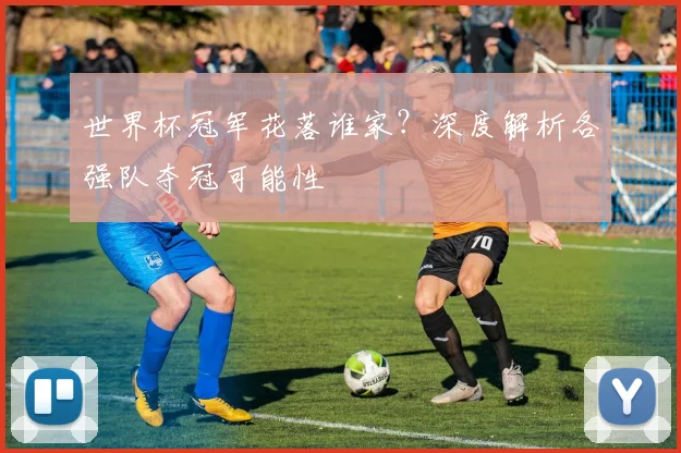 世界杯冠军花落谁家？深度解析各强队夺冠可能性