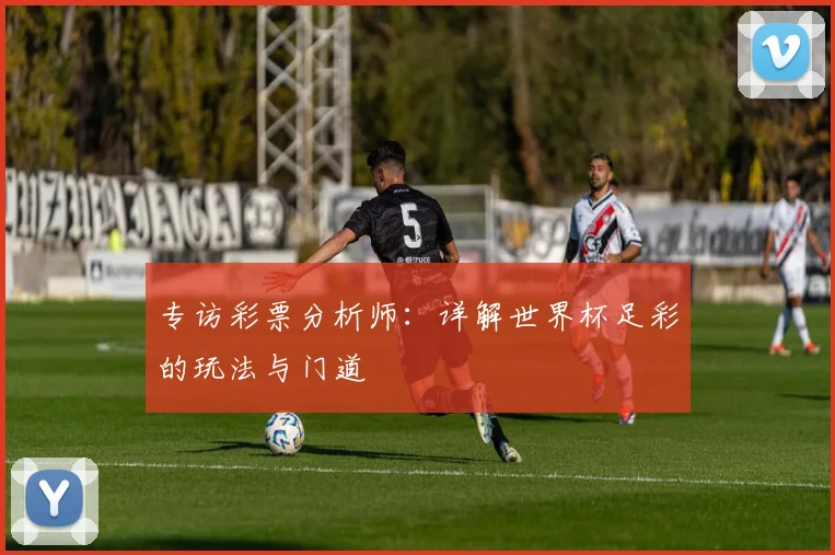 专访彩票分析师：详解世界杯足彩的玩法与门道