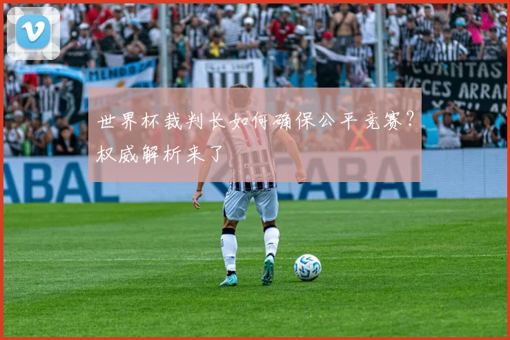 世界杯裁判长如何确保公平竞赛？权威解析来了