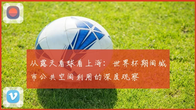 从露天看球看上海：世界杯期间城市公共空间利用的深度观察