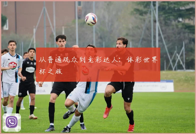 从普通观众到竞彩达人:体彩世界杯之旅