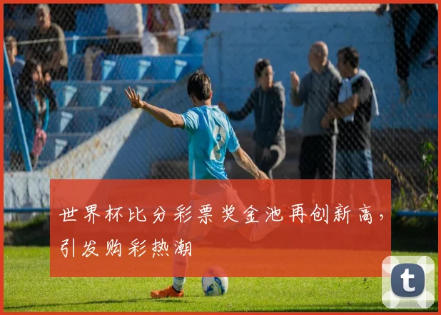 世界杯比分彩票奖金池再创新高,引发购彩热潮