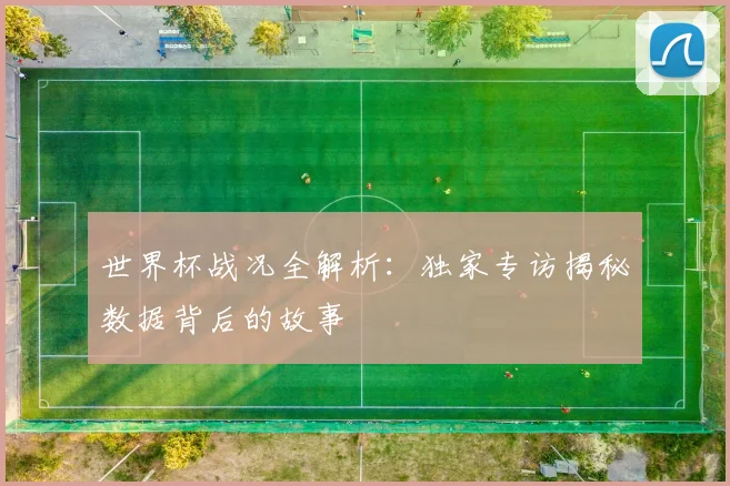 世界杯战况全解析:独家专访揭秘数据背后的故事