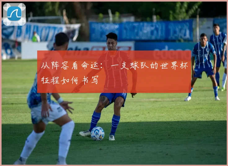 从阵容看命运:一支球队的世界杯征程如何书写