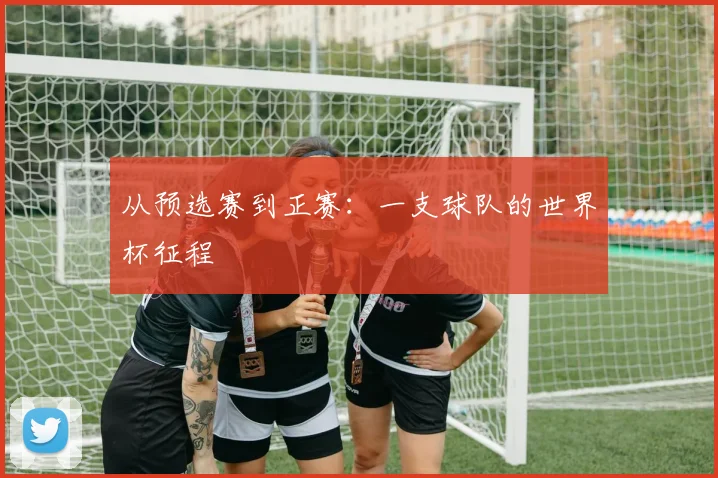从预选赛到正赛：一支球队的世界杯征程