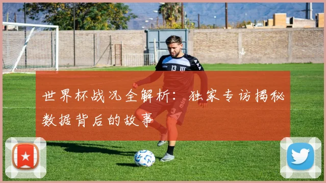 世界杯战况全解析:独家专访揭秘数据背后的故事