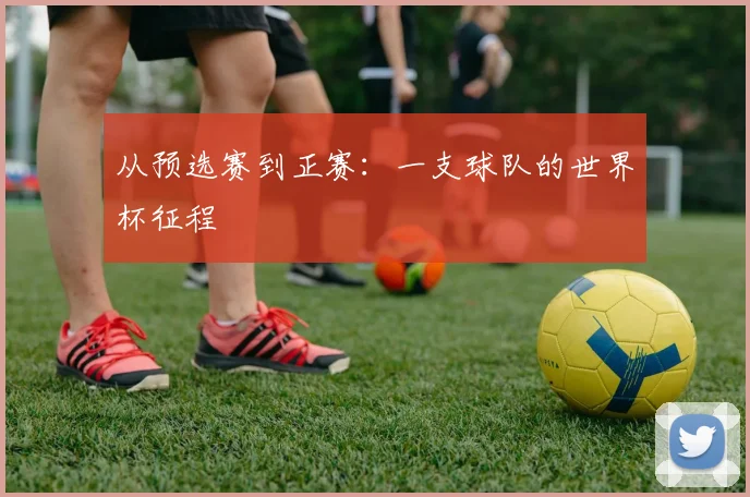 从预选赛到正赛：一支球队的世界杯征程