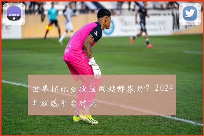 世界杯比分投注网站哪家好?2024年权威平台对比